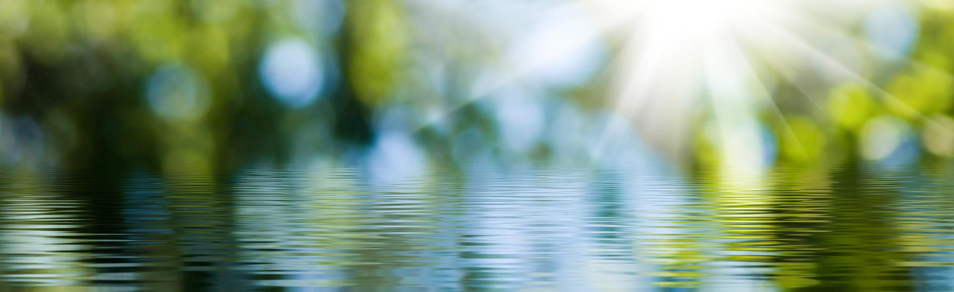 water with green trees muted and sun shining through