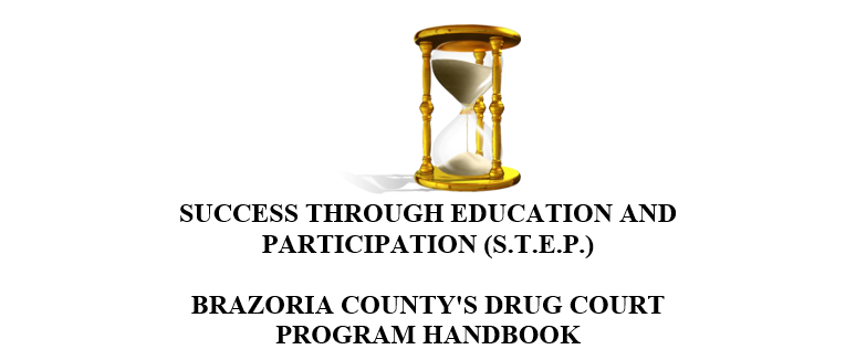 Success Through Education and Participation (S.T.E.P.) Drug Court Program Handbook