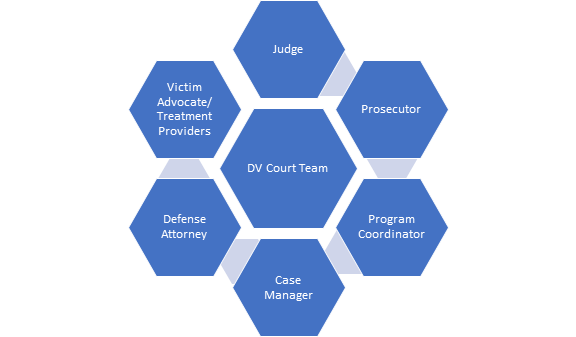 Domestic Vuiolence Court Team - Judge, Prosecutor, Program Coordinator, Case Manager, Defense Attorney, Victim Advocate/Treatment Providers