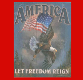 American Eagle holding an American Flag in talons background is a grey blue with pine trees. Words on  the background read AMERICA at the top above the eagle and below the eagle it reads LET FREEDOM REIGN